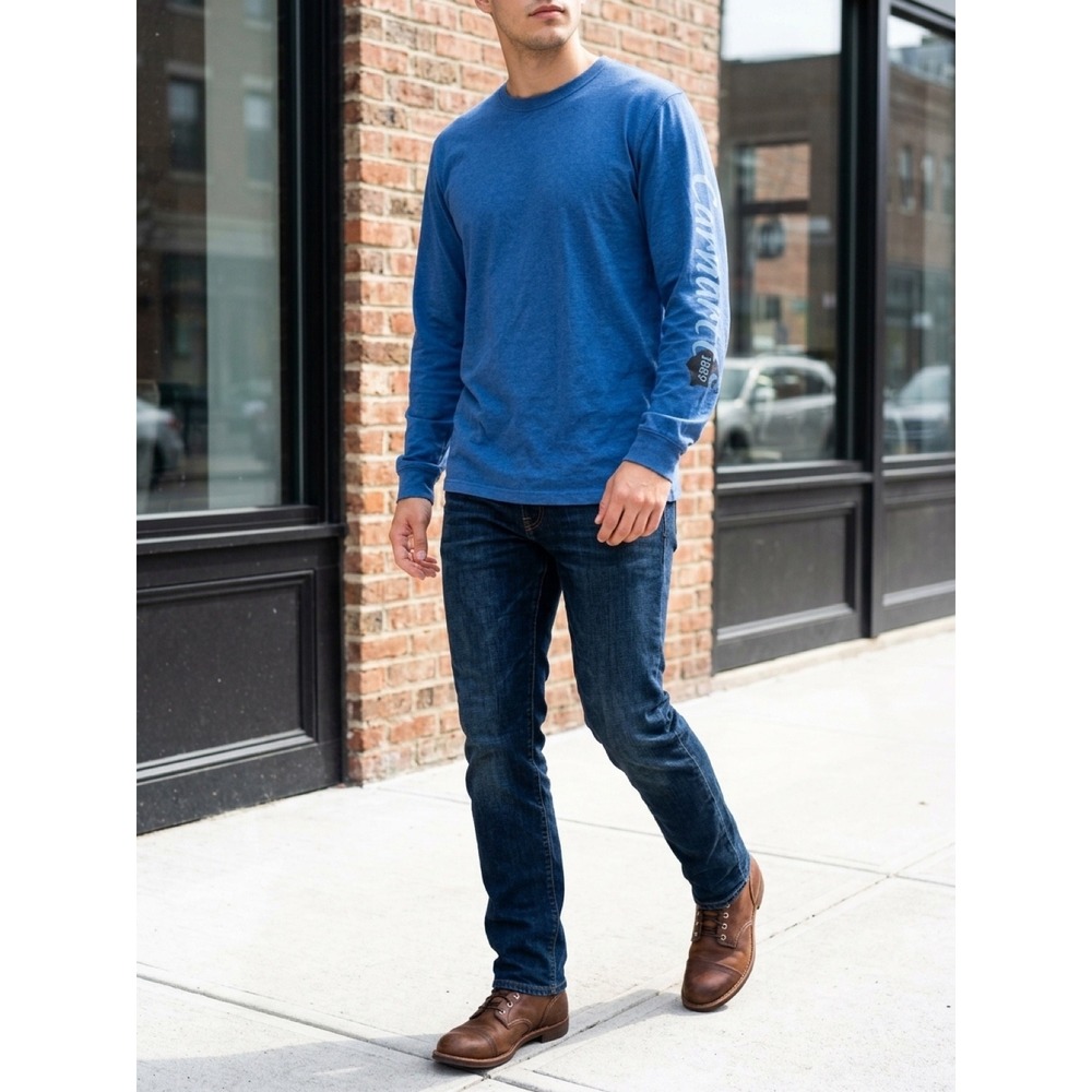 Carhartt Mens Loose Fit Long Sleeve Graphic T-Shirt Blue Heather Medium 1889
